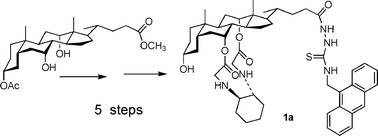 Graphical abstract: A cholic acid-based fluorescent chemosenor for the detection of ATP