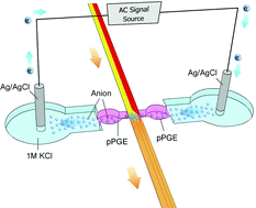 Graphical abstract: Ultrafast active mixer using polyelectrolytic ion extractor