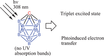 Graphical abstract: Unexpected photochemistry and charge-transfer complexes of [CB11H12]−carborane