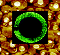 Graphical abstract: Environmentally stable light emitting field effect transistors based on 2-(4-pentylstyryl)tetracene