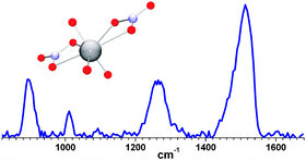 Graphical abstract: Vibrational spectroscopy of anionic nitrate complexes of UO22+ and Eu3+ isolated in the gas phase
