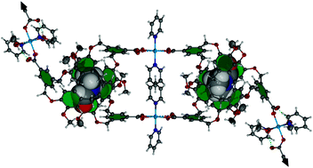 Graphical abstract: A soft coordination polymer derived from container molecule ligands