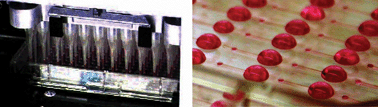 Graphical abstract: Automated cell culture in high density tubeless microfluidic device arrays