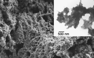 Graphical abstract: Spongy gel-like layered double hydroxide–alkaline phosphatase nanohybrid as a biosensing material