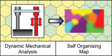 Graphical abstract: Self Organising Maps for distinguishing polymer groups using thermal response curves obtained by dynamic mechanical analysis