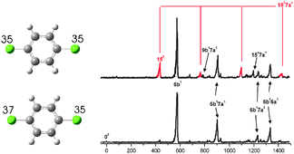 Graphical abstract: Detailed analysis of the cation ground state of three dichlorobenzenes by mass analyzed threshold ionization spectroscopy