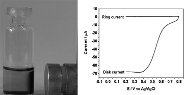 Graphical abstract: Magnet-assisted assembly of 1-dimensional hollow PtCo nanomaterials on an electrode surface