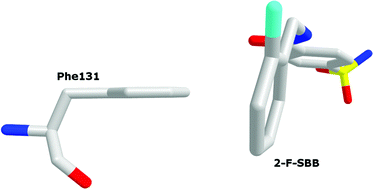 Graphical abstract: A QM/MM study of fluoroaromatic interactions at the binding site of carbonic anhydrase II, using a DFT method corrected for dispersive interactions