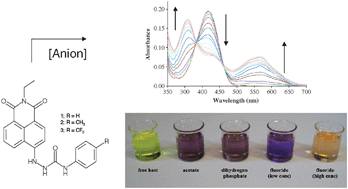 Graphical abstract: Colorimetric ‘naked-eye’ and fluorescent sensors for anions based on amidourea functionalised 1,8-naphthalimide structures: anion recognition via either deprotonation or hydrogen bonding in DMSO