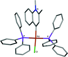 Graphical abstract: One-N, six-membered heterocyclic carbene complexes and the remote heteroatom concept