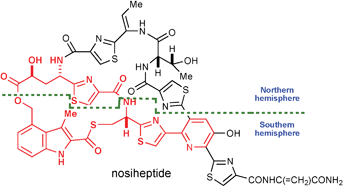 Graphical abstract: Construction of macrocyclic thiodepsipeptides: synthesis of a nosiheptide ‘southern hemisphere’ model system