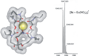 Graphical abstract: Tripodal diglycolamides as highly efficient extractants for f-elements