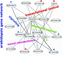 Graphical abstract: Gene networks in Arabidopsis thaliana for metabolic and environmental functions