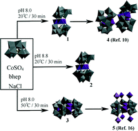 Graphical abstract: Isolation of extendable transition metal incorporated polyoxometalate intermediates with structural control