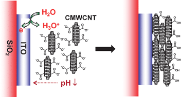 Graphical abstract: Surfactant and polymer-free electrochemical micropatterning of carboxylated multi-walled carbon nanotubes on indium tin oxide electrodes