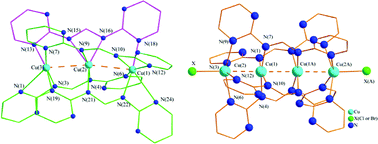 Graphical abstract: Syntheses, structures and magnetism of linear tri- and tetra-copper chains containing anions of N,N′-bis(pyrimidine-2-yl)formamidine