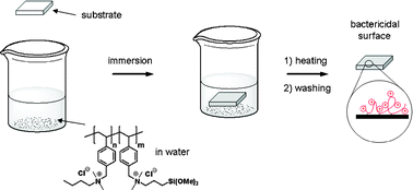 Graphical abstract: A new, simple approach to confer permanent antimicrobial properties to hydroxylated surfaces by surface functionalization