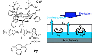 Graphical abstract: Dual-mode oxygen-sensing based on oxygen-adduct formation at cobaltporphyrin–polymer and luminescence quenching of pyrene: an optical oxygen sensor for a practical atmospheric pressure