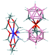 Graphical abstract: New 13-vertex metallacarborane sandwich compounds; synthetic and structural studies