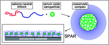 Graphical abstract: Organic versus hybrid coacervate complexes: co-assembly and adsorption properties