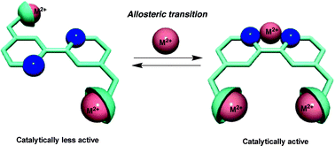 Graphical abstract: Metal ion induced allosteric transition in the catalytic activity of an artificial phosphodiesterase
