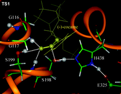 Graphical abstract: Structure-and-mechanism-based design and discovery of therapeutics for cocaine overdose and addiction
