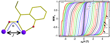 Graphical abstract: Ground state spin-switching via targeted structural distortion: twisted single-molecule magnets from derivatised salicylaldoximes