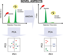 Graphical abstract: Constituents with independence from growth temperature for bacteria using pyrolysis-gas chromatography/differential mobility spectrometry with analysis of variance and principal component analysis