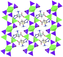 Graphical abstract: (C6H10N3O2)Zn2(HPO4)(PO4)·H2O: An inorganic network with biofunctional amino aciddl-histidine molecules