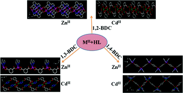 Graphical abstract: d10 Metal complexes assembled from isomeric benzenedicarboxylates and 3-(2-pyridyl)pyrazole showing 1D chain structures: syntheses, structures and luminescent properties