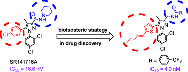 Graphical abstract: Design, synthesis, and biological evaluation of novel alkenylthiophenes as potent and selective CB1 cannabinoid receptor antagonists