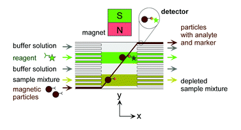 Graphical abstract: Rapid on-chip multi-step (bio)chemical procedures in continuous flow – manoeuvring particles through co-laminar reagent streams