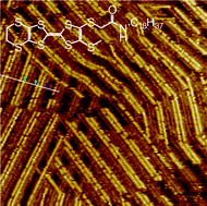 Graphical abstract: Bottom-up assembly of high density molecular nanowire cross junctions at a solid/liquid interface