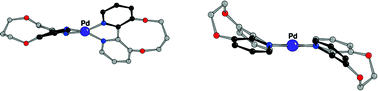 Graphical abstract: New atropisomeric N–N ligands for CO/vinyl arene copolymerization reaction