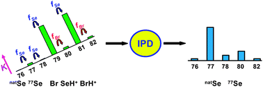 Graphical abstract: Internal correction of spectral interferences and mass bias in ICP-MS using isotope pattern deconvolution: Application to the determination of selenium in biological samples by isotope dilution analysis