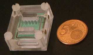 Graphical abstract: Development and application of a miniaturized gel electrophoresis device for protein analysis