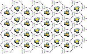 Graphical abstract: Mutual induced coordination in halogen-bonded anionic assemblies with (6,3) cation-templated topologies