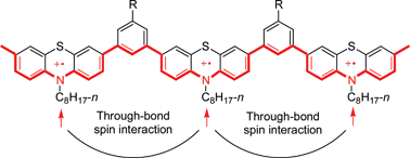 Graphical abstract: Synthesis and through-bond spin interaction of stable 1,3-phenylene linked poly(phenothiazine cation radical)