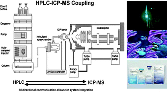 Graphical abstract: Platinum-specific detection and quantification of oxaliplatin and Pt(R,R-diaminocyclohexane)Cl2 in the blood plasma of colorectal cancer patients