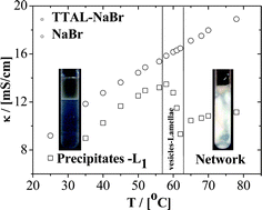 Graphical abstract: Reversible phase transition from vesicles to lamellar network structures triggered by chain melting