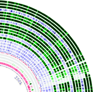 Graphical abstract: The genome BLASTatlas—a GeneWiz extension for visualization of whole-genome homology