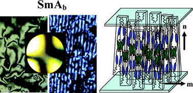 Graphical abstract: Optically biaxial interdigitated smectic A phase: liquid crystalline dimeric bidentate ligands and their metal complexes