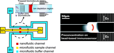 Graphical abstract: Pre-binding dynamic range and sensitivity enhancement for immuno-sensors using nanofluidic preconcentrator