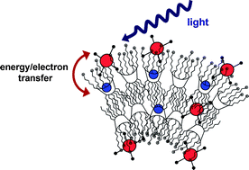 Graphical abstract: Biocompatible nanoparticles of amphiphilic cyclodextrins entangling porphyrins as suitable vessels for light-induced energy and electron transfer