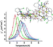 Graphical abstract: A homospin iron(ii) single chain magnet