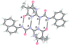 Graphical abstract: Dimerization of aromatic ureido pyrimidinedione derivatives: observation of an unexpected tautomer in the solid state