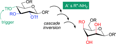 Graphical abstract: Supramolecular activation in triggered cascade inversion