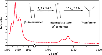 Graphical abstract: Molecular order and thermodynamics of the solid–liquid transition in triglycerides viaRaman spectroscopy