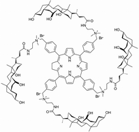 Graphical abstract: Porphyrin–bile acid conjugates: from saccharide recognition in the solution to the selective cancer cell fluorescence detection