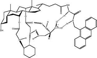 Graphical abstract: Cholic acid-based fluorescent probes for enantioselective recognition of trifunctional amino acids